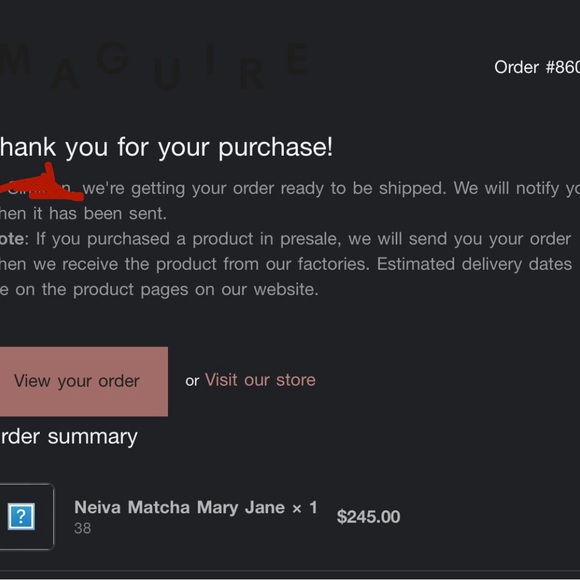 Maguire Nieva Matcha Mary Jane - Picture 4 of 4